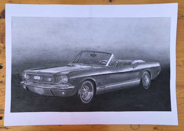 Mustang kresba